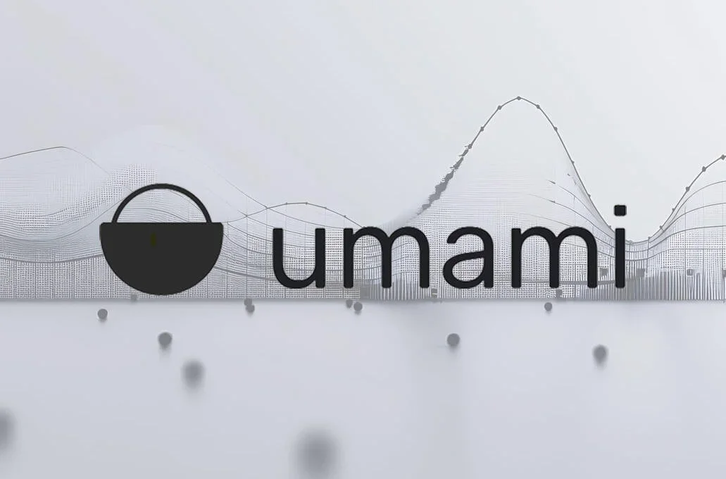 基于Postgresql使用Umami搭建访客监测站