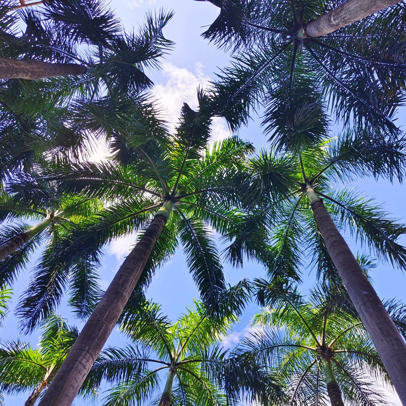 三亚_20230922_102615